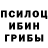 Галлюциногенные грибы Psilocybine cubensis fuminaiz zs