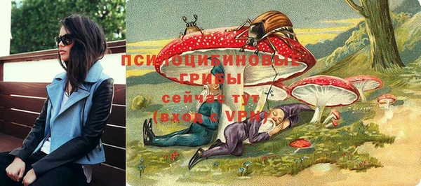 ГАЛЛЮЦИНОГЕННЫЕ ГРИБЫ Абинск