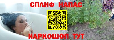 эйфоретик Усть-Джегута
