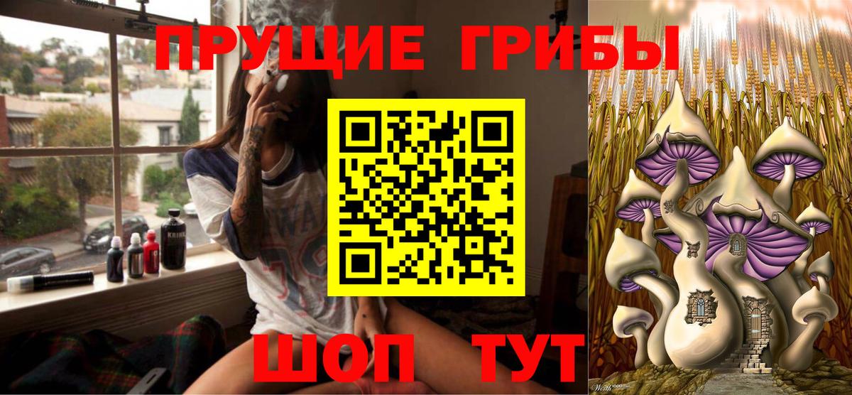 Галлюциногенные грибы Cubensis Сокол